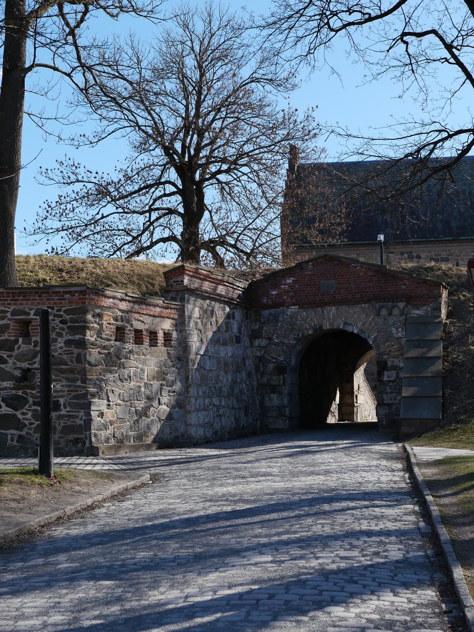 The Story: The Last Verse of the Hymn