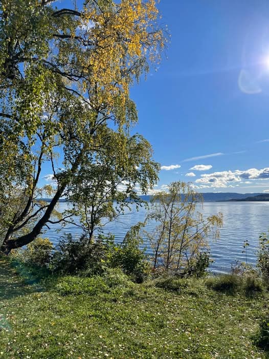 Løs mysteriet i Hamar: Tidsreisen venter!