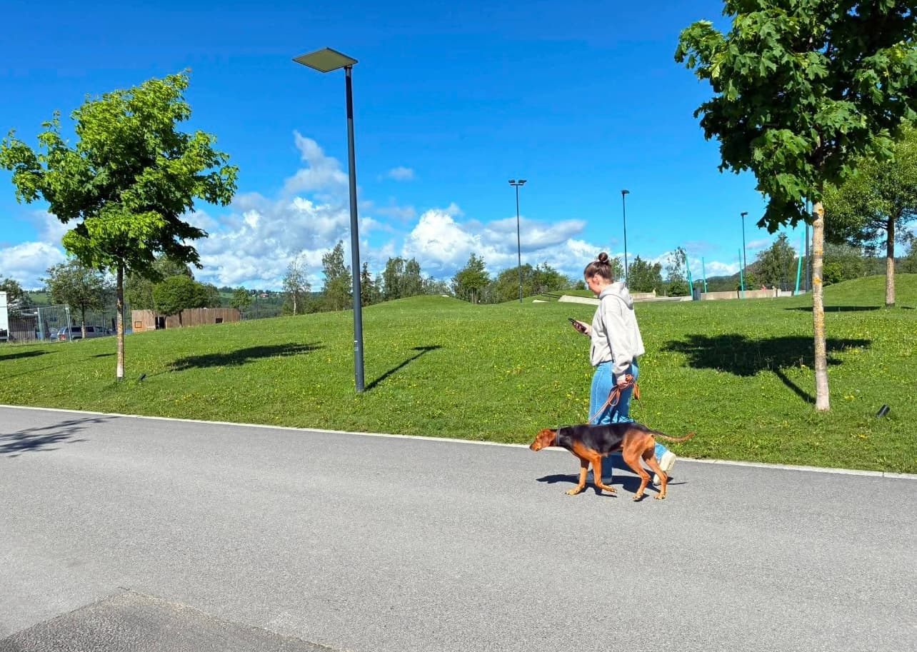 Først på sporet av våre nye spill