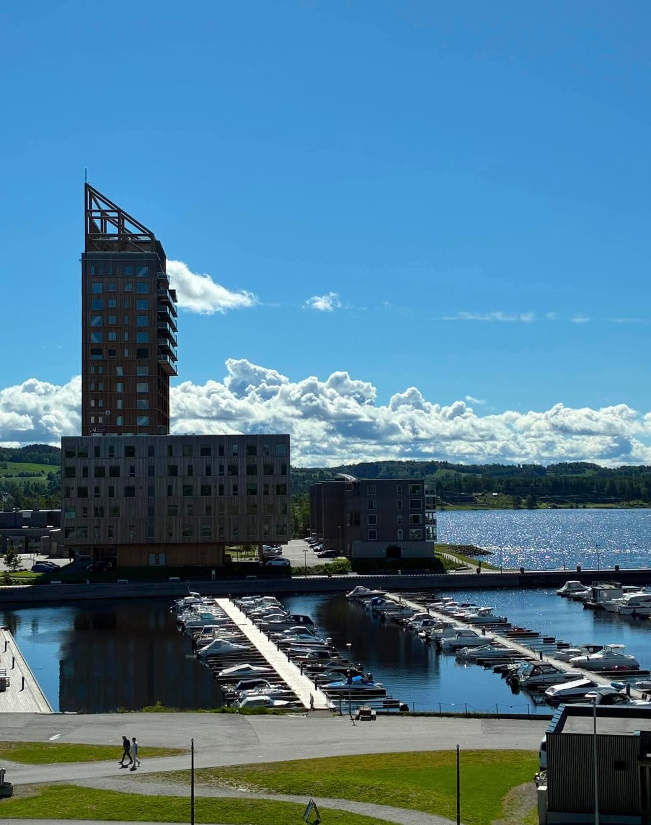Sommer ved Mjøsa